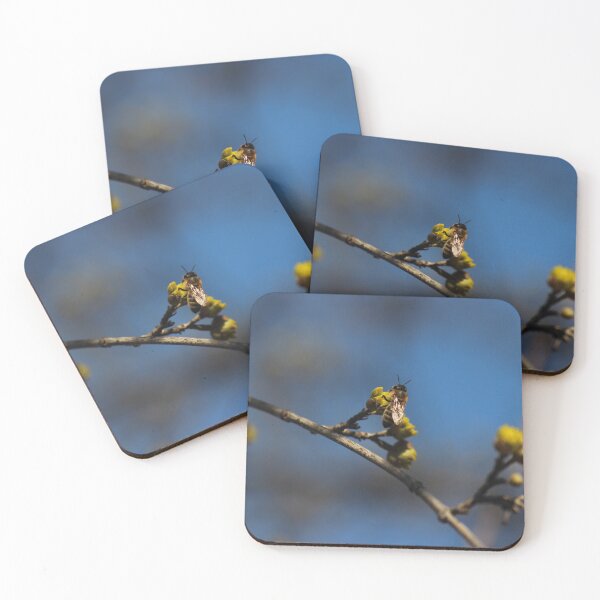 Item preview,  spring time,sky over ukraine designed and sold by enot-art-shop.