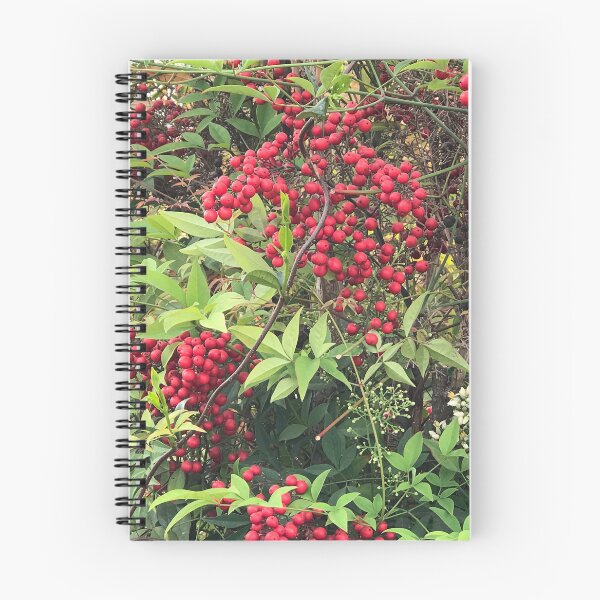 Item preview, Rowan Berries Tree designed and sold by iCharlotteShop.