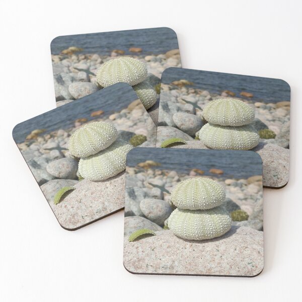 Item preview, She sells sea shells designed and sold by Shel13X.