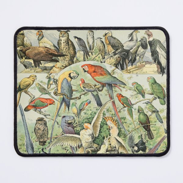 Item preview, Oiseaux A - Adolphe Millot designed and sold by starrylite.