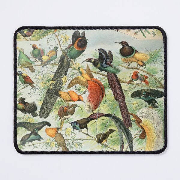 Item preview, Oiseaux B - Adolphe Millot designed and sold by starrylite.