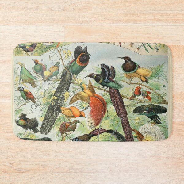 Item preview, Oiseaux B - Adolphe Millot designed and sold by starrylite.