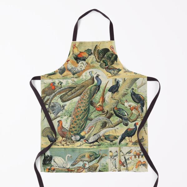 Item preview, Oiseaux C - Adolphe Millot designed and sold by starrylite.