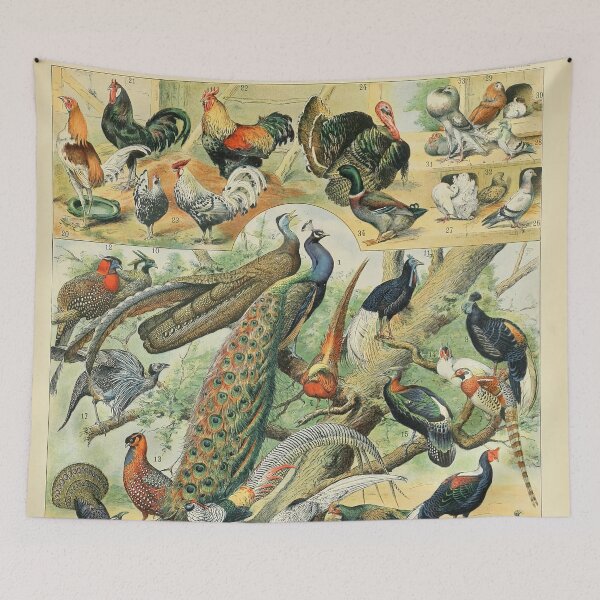 Item preview, Oiseaux C - Adolphe Millot designed and sold by starrylite.