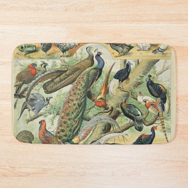Item preview, Oiseaux C - Adolphe Millot designed and sold by starrylite.