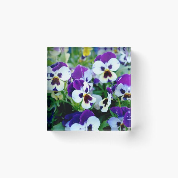 Item preview,  purple white  flower design designed and sold by vishal kashyap.