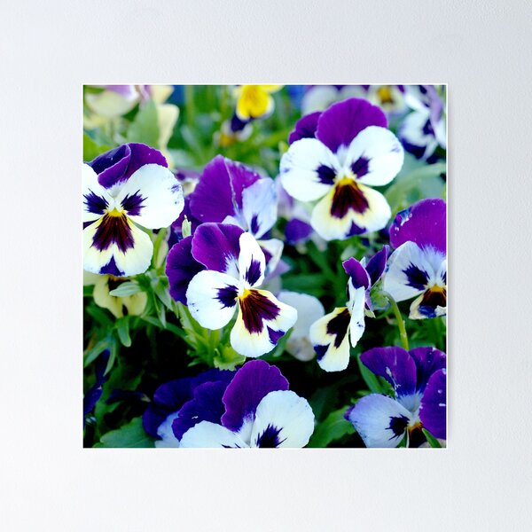 Item preview,  purple white  flower design designed and sold by vishal kashyap.