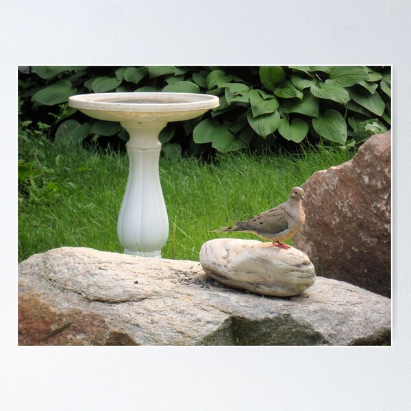 Item preview, Paloma en las rocas designed and sold by John McCloskey.