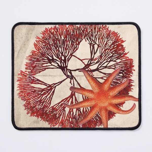 Item preview, starring-rhodophyta designed and sold by Dagagi.
