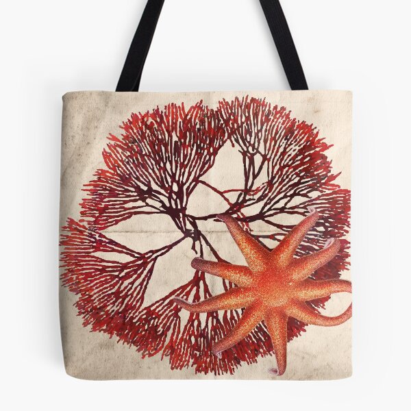 Item preview, starring-rhodophyta designed and sold by Dagagi.