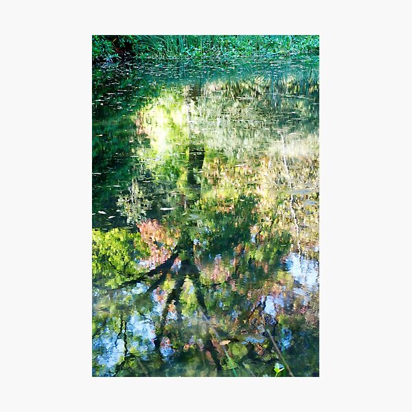 Monet at Stourhead? Photographic Print