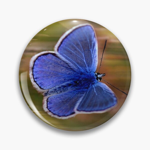 Item preview, Set Yourself Free. Butterfly. Freedom.  designed and sold by TheNatureTalent.