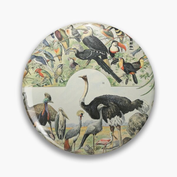 Item preview, Oiseaux D - Adolphe Millot designed and sold by starrylite.