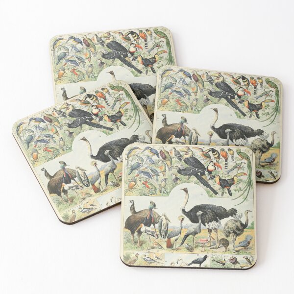 Item preview, Oiseaux D - Adolphe Millot designed and sold by starrylite.