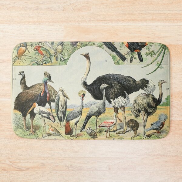 Item preview, Oiseaux D - Adolphe Millot designed and sold by starrylite.