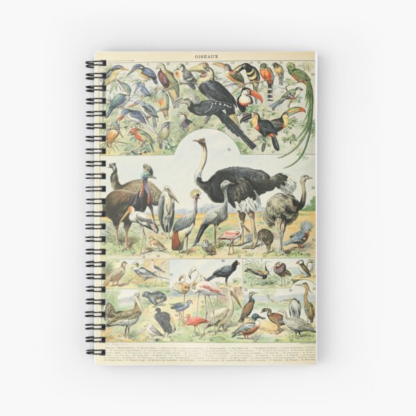 Item preview, Oiseaux D - Adolphe Millot designed and sold by starrylite.