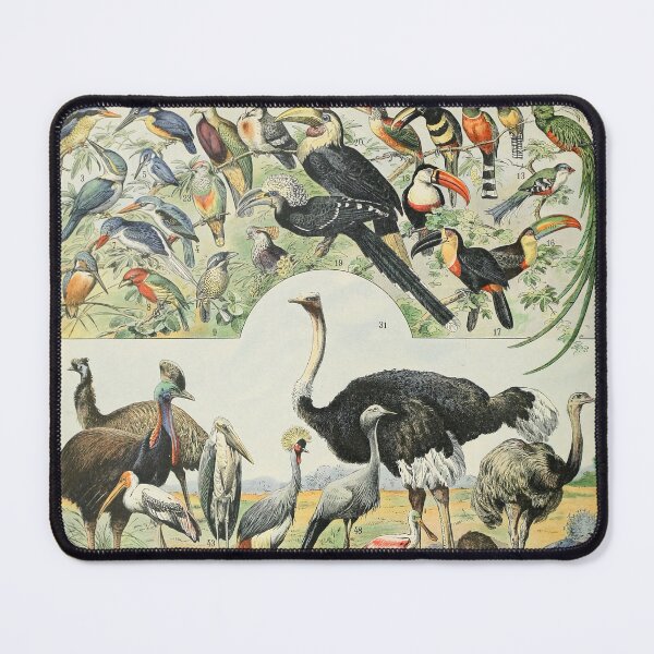 Item preview, Oiseaux D - Adolphe Millot designed and sold by starrylite.