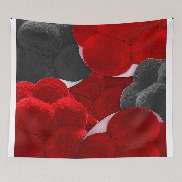 Item preview, Our Bollenhuts from the Black Forest 2.0 designed and sold by iL PhotoArt Germany.