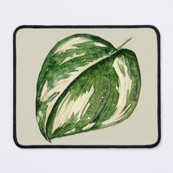 Item preview, Pothos Leaf - Plant Illustration designed and sold by Pattokarts.