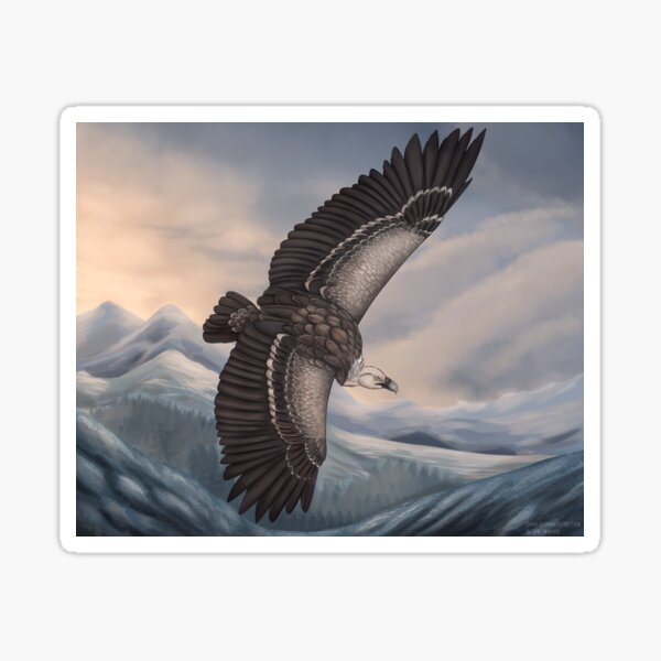Item preview, Ruppell's griffon vulture designed and sold by DragonArtist15.