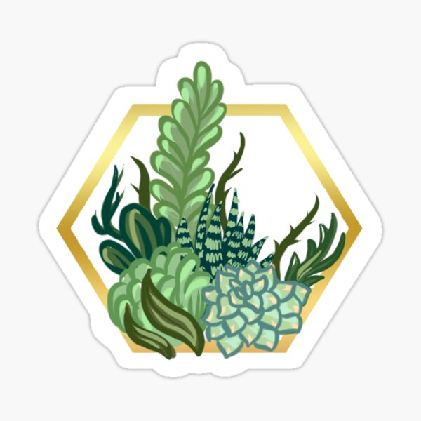 Octagon Succulent Terrarium Sticker
