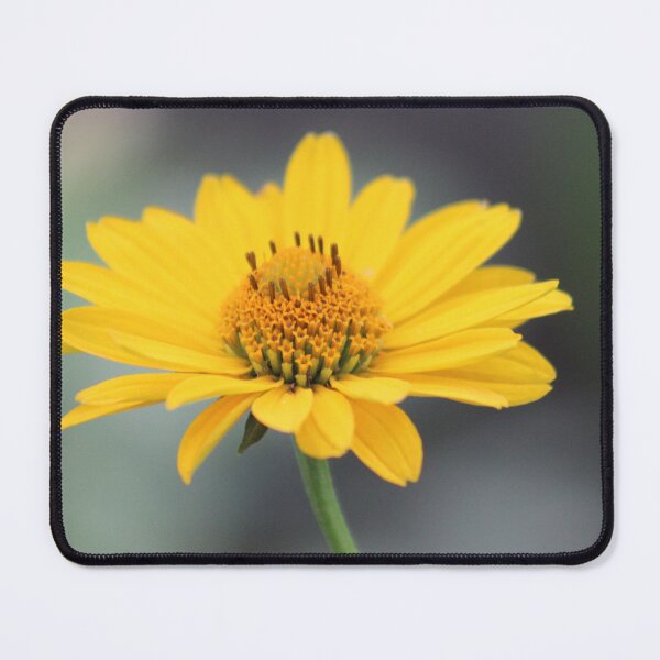 Item preview, yellow flower designed and sold by enot-art-shop.