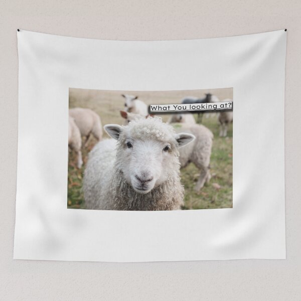 Item preview, What you looking at (sheep) designed and sold by Kings-Shop1.