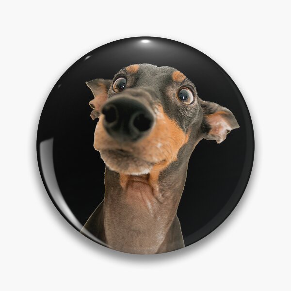 Item preview, Funny Dog Look designed and sold by laugh-out-loud.