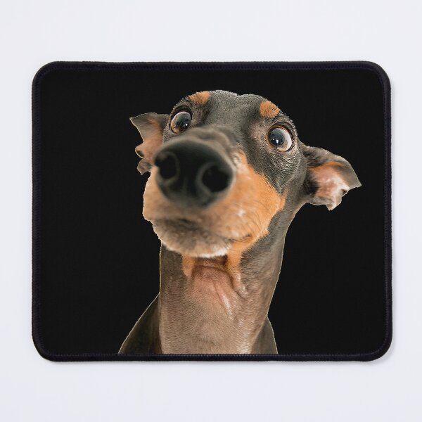 Item preview, Funny Dog Look designed and sold by laugh-out-loud.