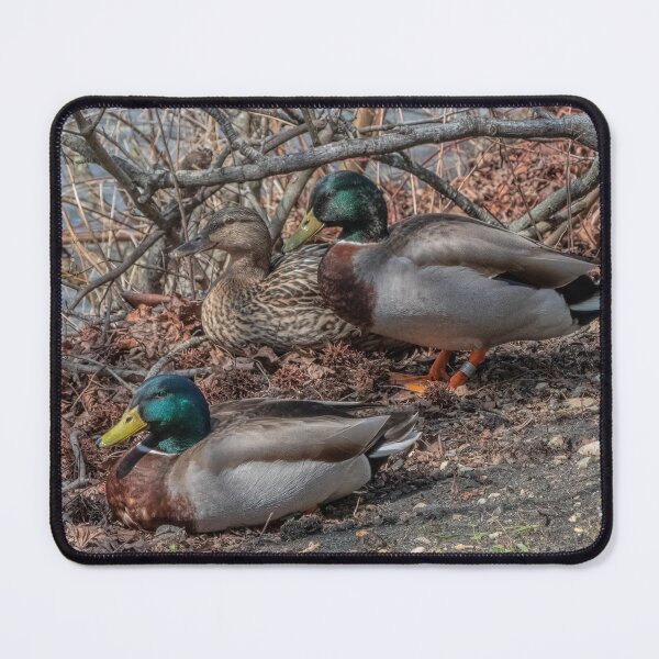 Item preview, Threes Company designed and sold by Lanis Rossi.