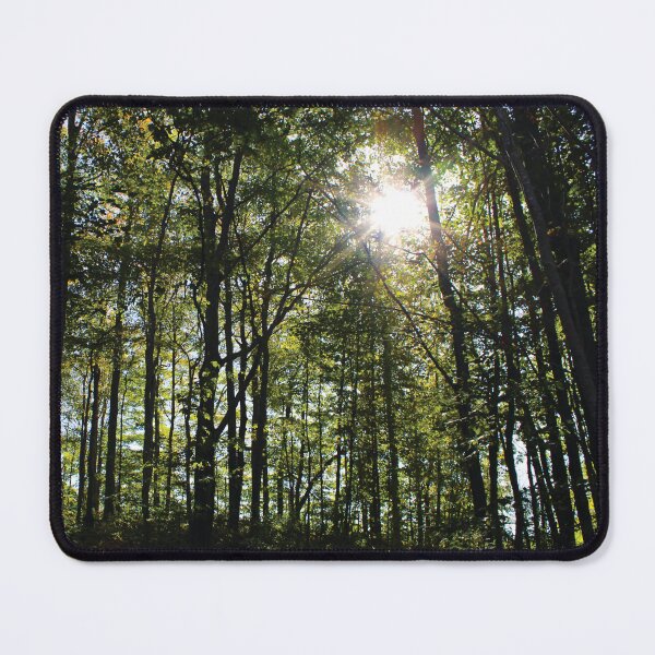 Item preview, Sunshine in the Forest designed and sold by RoseyElisabeth.
