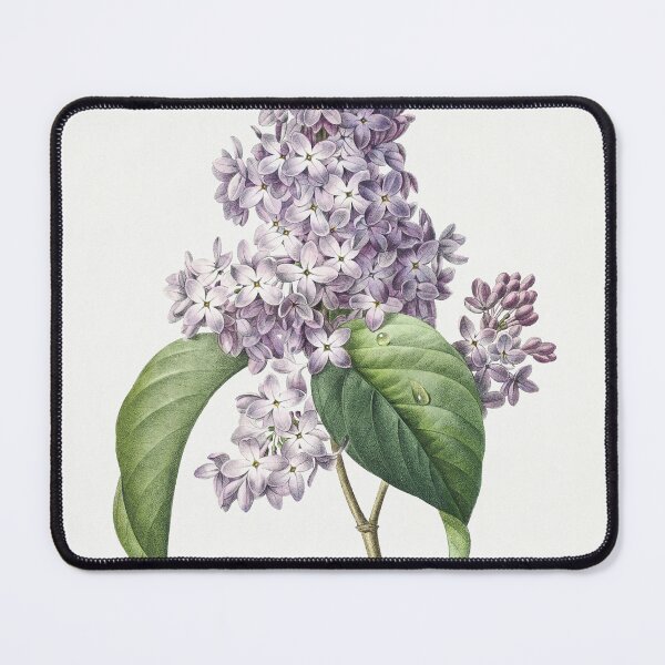 Item preview, Lilac by Pierre-Joseph Redouté (1759–1840). designed and sold by Sirio22.