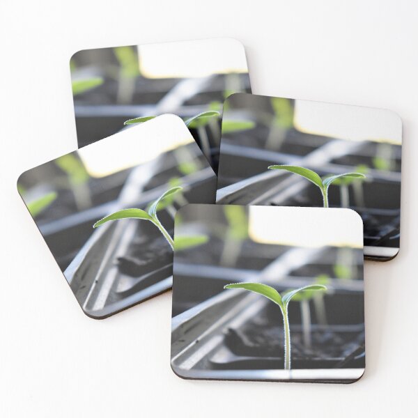 Item preview, Plant Sprout in a Greenhouse designed and sold by SEEphotos7171.