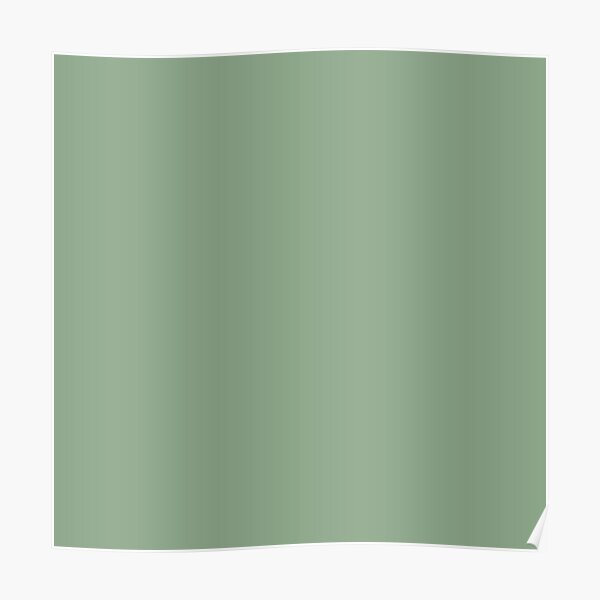 pastel-blue-green-color-shade-by-addup-solid-green-color-plain