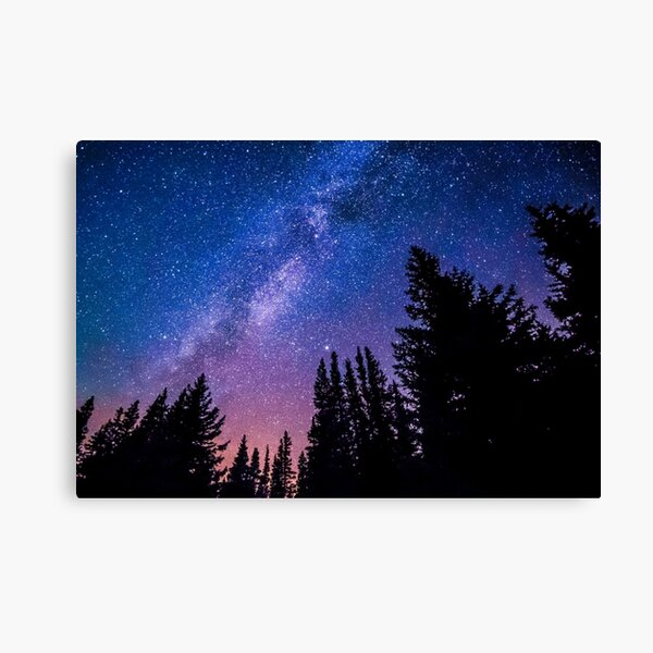 Forest with a starry sky Canvas Print