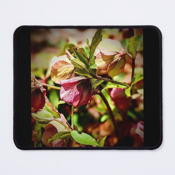 Item preview, Beautiful Spring Time Blossoms Photograph Design designed and sold by EarthArtDesigns.