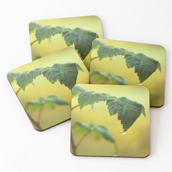 Item preview, Red raspberry leaf on a misty morning designed and sold by riku05830.
