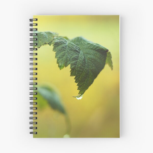 Item preview, Red raspberry leaf on a misty morning designed and sold by riku05830.