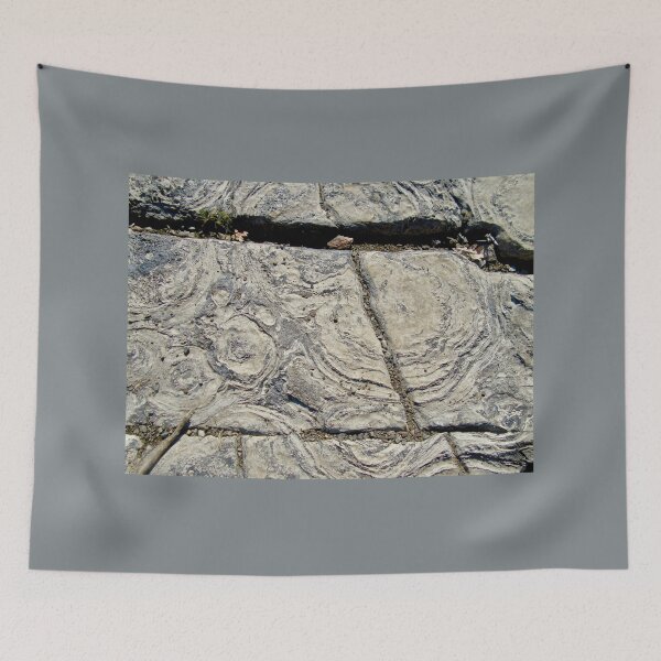 Item preview, More Stromatolites designed and sold by Shulie1.