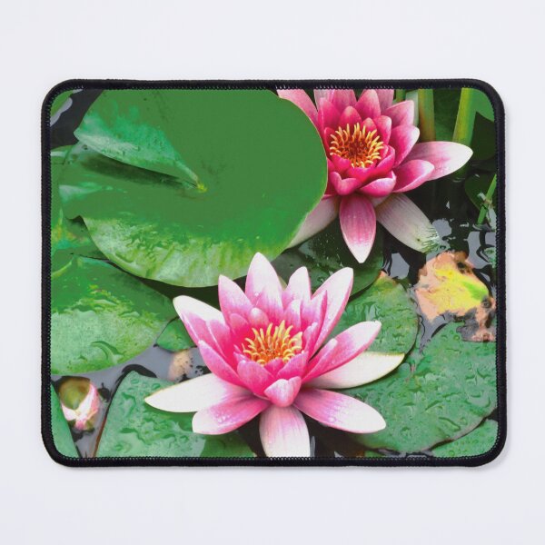 Item preview, Pink water lilies designed and sold by Shulie1.