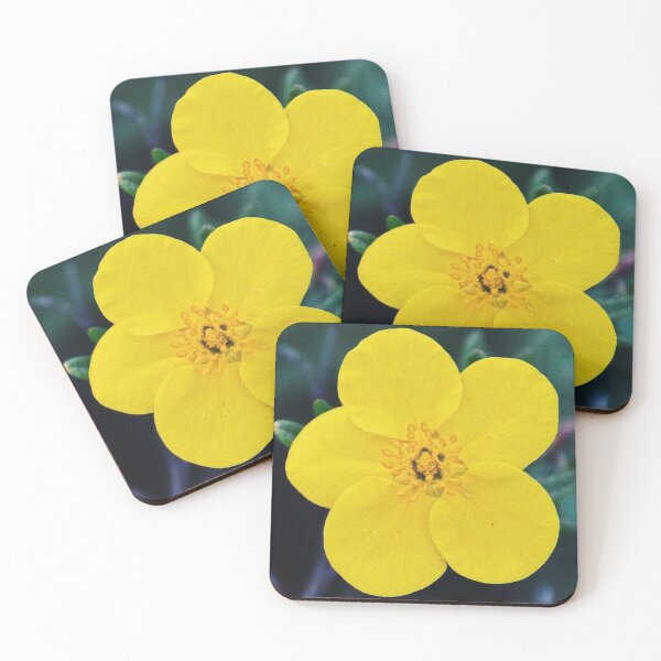 Item preview, Five designed and sold by Tessia Photography.