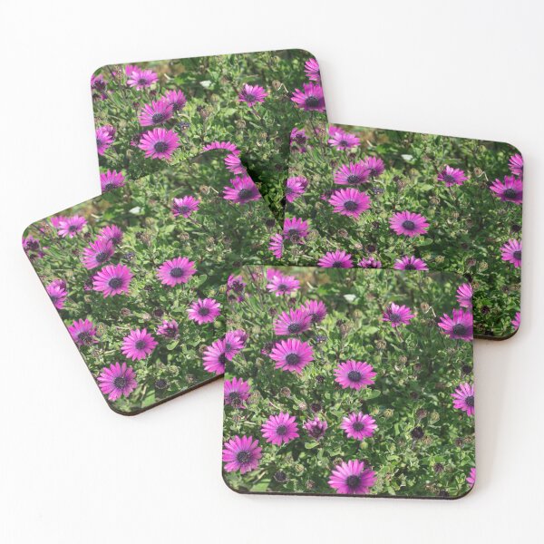 Item preview, Osteospermum Delight. designed and sold by GingerMan2550.