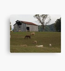 Tennesse Farm Canvas Print