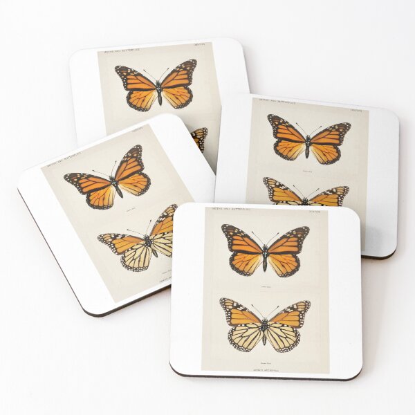 Item preview, Monarch Butterfly  Monarch Butterflies  Moths and Butterflies of the United States  Vintage Butte designed and sold by mollylouiseshop.