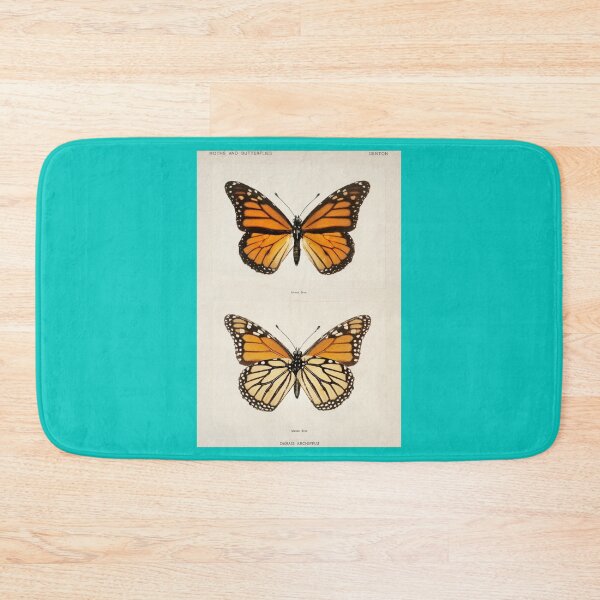 Item preview, Monarch Butterfly  Monarch Butterflies  Moths and Butterflies of the United States  Vintage Butte designed and sold by mollylouiseshop.
