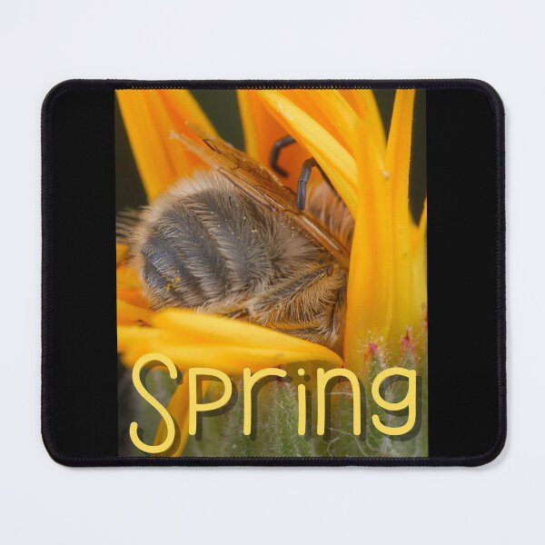 Item preview, Bright Colorful Bumblebee Butt Photograph Design designed and sold by EarthArtDesigns.