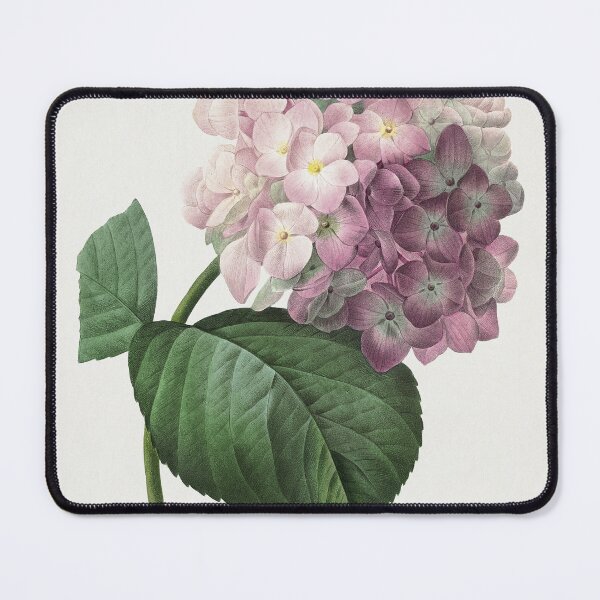 Item preview, Hydrangea by Pierre-Joseph Redouté (1759–1840) designed and sold by Sirio22.