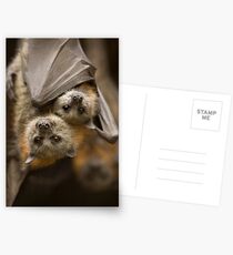 Hang In there Postcards