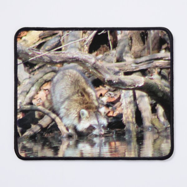 Item preview, BLIND RACCOON 4 designed and sold by BOLLA67.