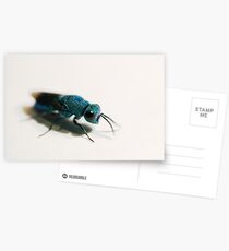 Cuckoo Wasp II Postcards